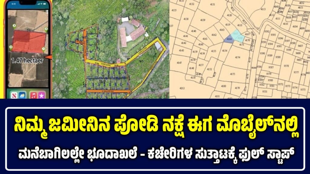 Pahani and podi details