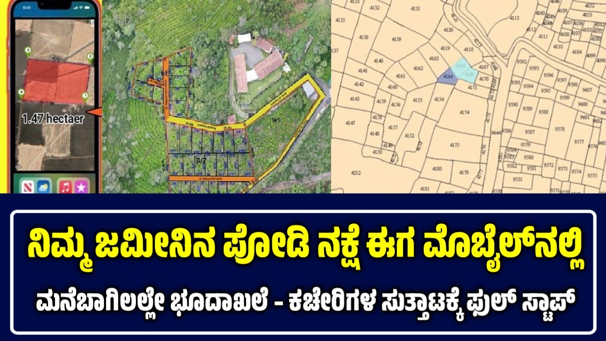 Pahani and podi details